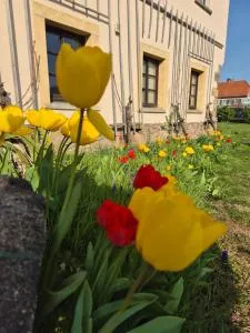 Apartment am Boselgarten - 韦恩波拉