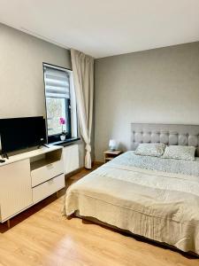 Apartamenty Poziom 4, Prywatna łazienka, Wspólna toaleta, Free wi-fi, Free Parking