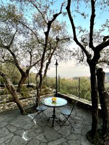 Villa Panorama with beautiful private garden