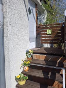 Ferienwohnung Rosengarten