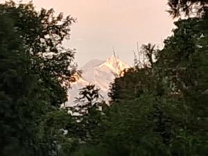 Mahankal Valley Homestay