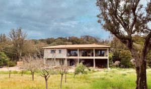 Villas Villa de Standing avec vue montagne, proche de Porto-Vecchio : photos des chambres