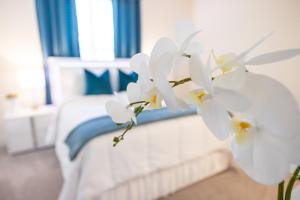 Allstar Luxury Home LLC - 4hvězdičkové hotely ve městě Durham