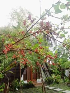 Green Homestay - Gili Gede