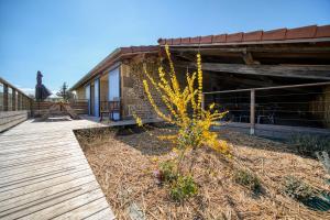Maisons de vacances Maison Michonieres - Gite 3 etoiles - 8 personnes : photos des chambres