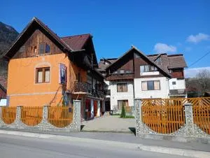 Pensiunea Irina 1 si 2 - 泽尔内什蒂