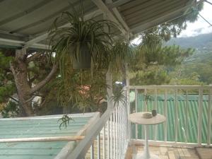 Evergreen Pines at Autumn Oasis - 2BR Apartment with Mountain Views