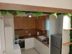 Afanias Lakonia Luxury Apartment - Goúvai