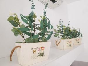 Joli T2 de 40m² à louer à Le Muy (83490)