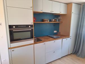 Alpine ski apartment - Petit Châtel