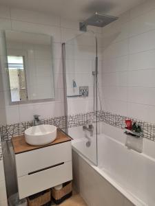 Alpine ski apartment - Petit Châtel