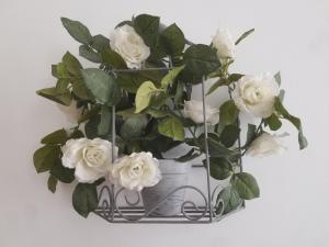 Joli T2 de 40m² à louer à Le Muy (83490)