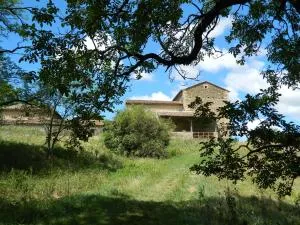 Domaine Puy Saint Jammes - Graulhet