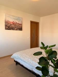 Apartamentai Jonavoje #2