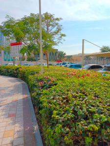 Ajman Family Aurora VIP Elegant apartment for families with a capacity of 7 people fully equipped