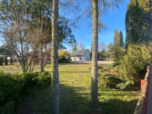 Agroturystka pod sosnami