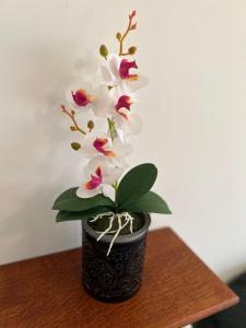 Beautiful place - Walk to city center and markets.