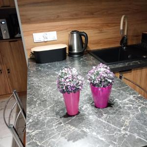 Apartament RESET 2 pokojowy