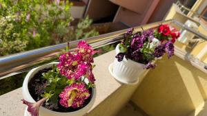 Апартамен за гости Панови