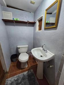 Cotton Tree Cabin at Freshwater Creek Cabanas