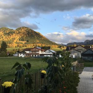 Blockhaus Grünes Herz