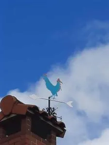 El Gallo Azul - Oruña
