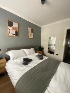 3 Bedroom House in Central Cardiff