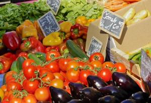 Appartements Studio Toulon proche Opera et Gare : photos des chambres
