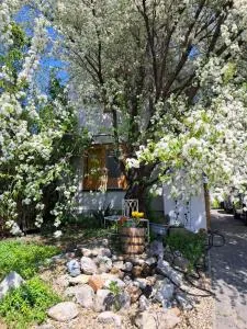 Appartement Sonnblick - 新锡德勒湖畔普巴赫