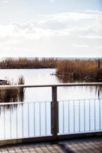 Reetgedeckte Villa mit Meerblick und Bootsanleger - Makkum