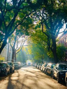 Beautiful One Bedroom in NYC