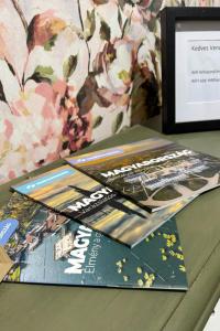 Middle of the city apartman 2