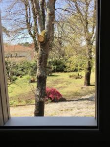 B&B / Chambres d'hotes Chambre d-hotes Villas du Plantier : photos des chambres