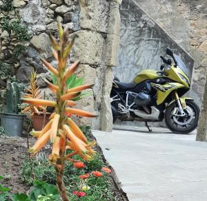 Profumo di Calicanto img35