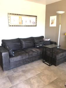 Les Anthemis- Bord de mer