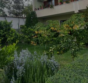 Villas Daci