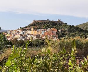 Profumo di Calicanto img40