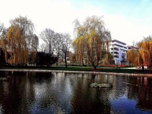 Apartamenty U Marynarza -Klimatyzacja-PROMENADA SOLNA 4A -Centrum Ścisłe Deptak -Garaż Podziemny-Best Restaurants in the Apartment-FAK VAT