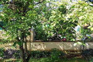 Spacious Apartment with Private Garden