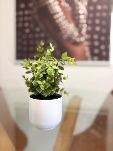 Cozy Retreat in Point Vernon