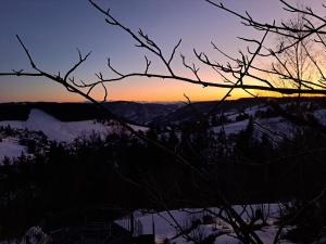 La Petite Retraite - Ein Idyll in Todtnauberg