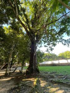 Spacious house with pool in Mosqueiro