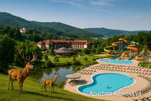 Apartment Adam & Eva, Near terme Olimia, Free Parking
