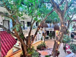 Hotel Ha Garden Gallery - 5th Avenue