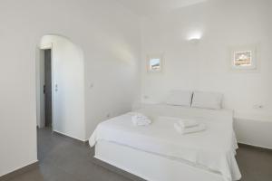 Andrianas 2 - Cycladic Home with Garden , Paros