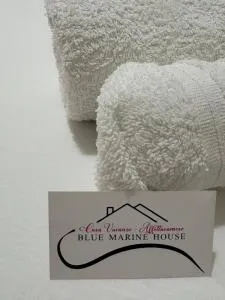 Blue Marine House - Case Cicirello
