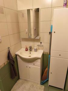 Fast apartment in the Tlmače