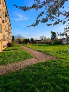 Fast apartment in the Tlmače - Volkovce
