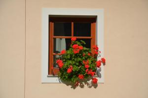 The farmhouse Bevsek Osep