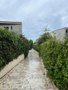 Villa Bleue